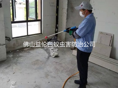 和顺房屋装修预防白蚁