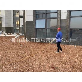 云东海房屋白蚁预防