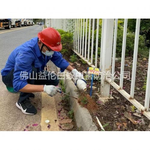 大塘红火蚁防治工程