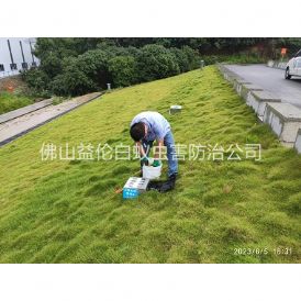 河口水利堤坝鼠害防控工程